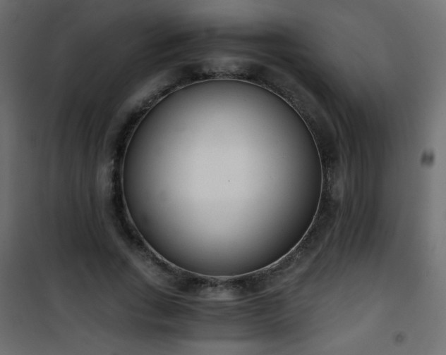 X0000101430735200807141241