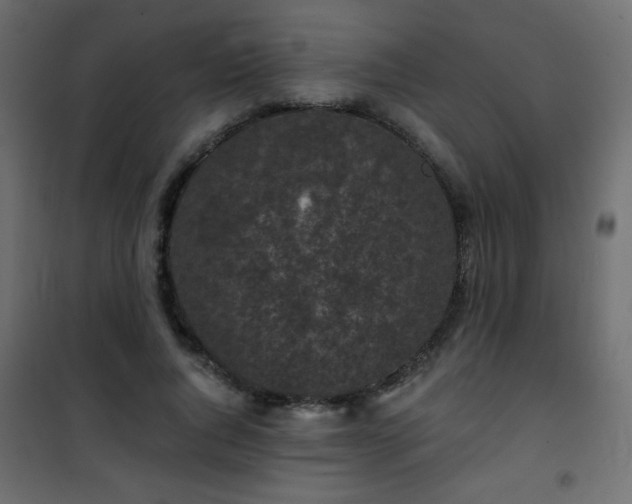X0000101430736200807141241