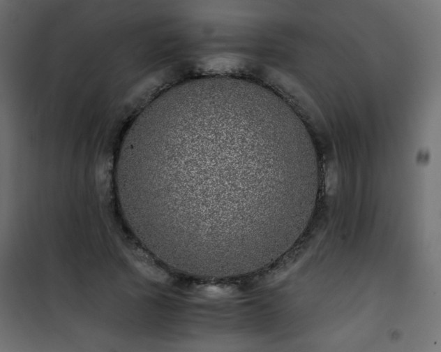 X0000101430737200807141241