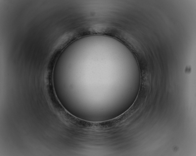 X0000101430738200807141241
