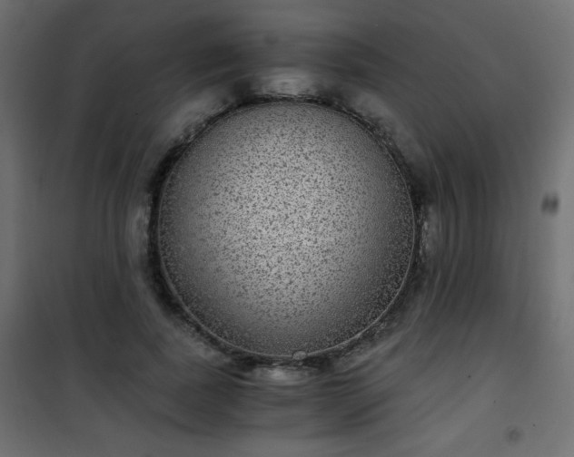 X0000101430739200807141241