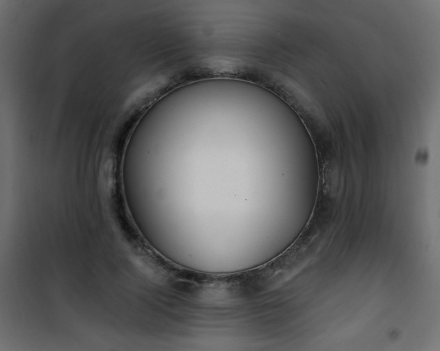 X0000101430740200807141241