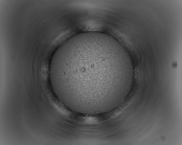 X0000101430741200807141241