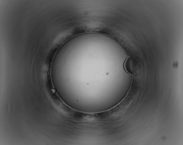 X0000101430742200807141241