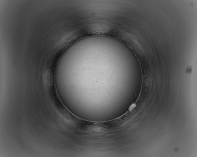 X0000101430743200807141241