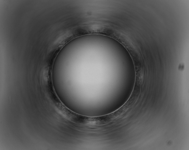 X0000101430746200807141241
