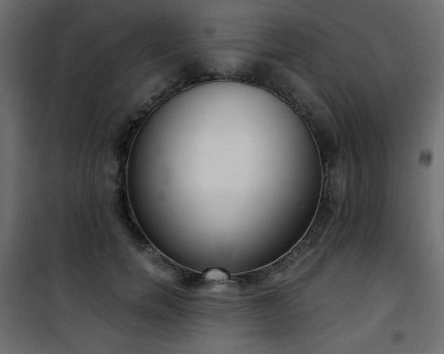 X0000101430750200807141241