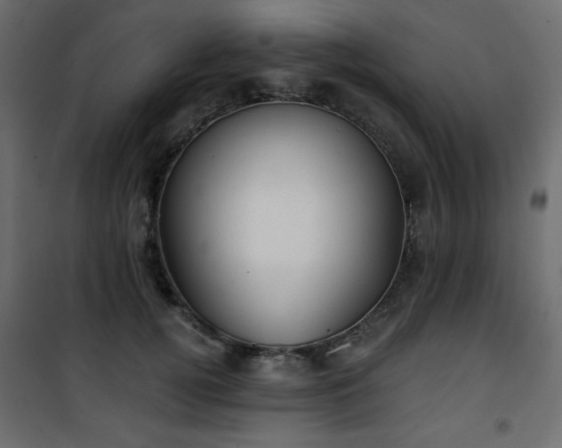 X0000101430752200807141241