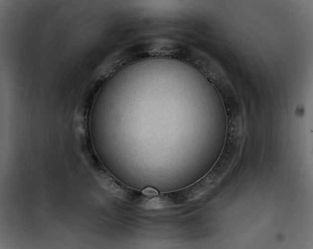 X0000101430755200807141241