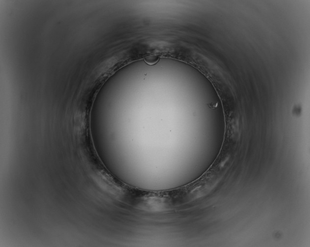 X0000101430756200807141241