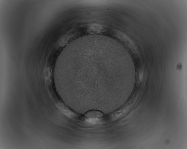 X0000101430759200807141241