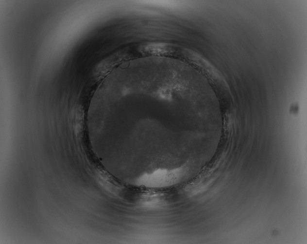 X0000101430760200807141241