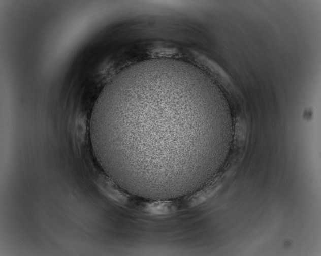 X0000101430761200807141241