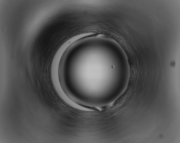 X0000101430762200807141241