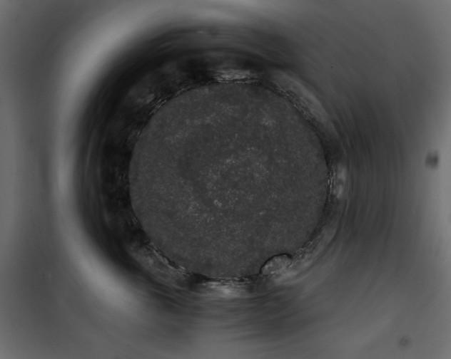 X0000101430763200807141241
