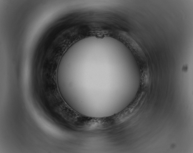 X0000101430764200807141241