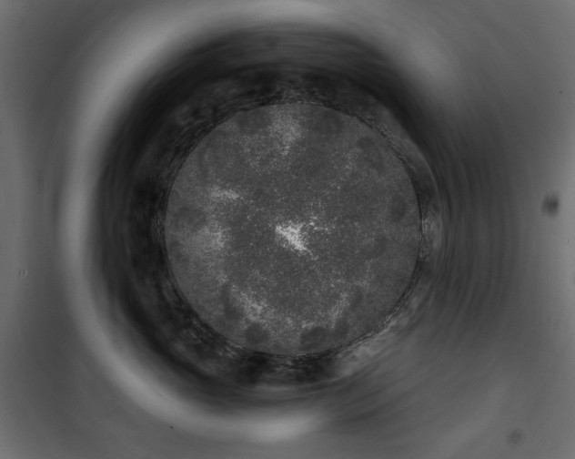 X0000101430765200807141241