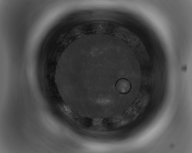 X0000101430766200807141241