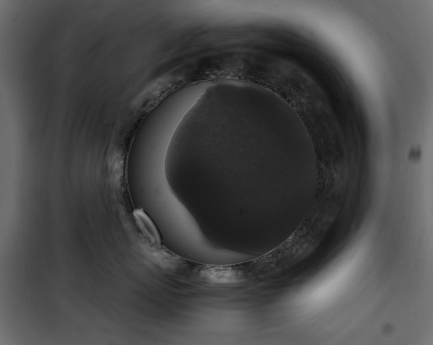 X0000101430767200807141241