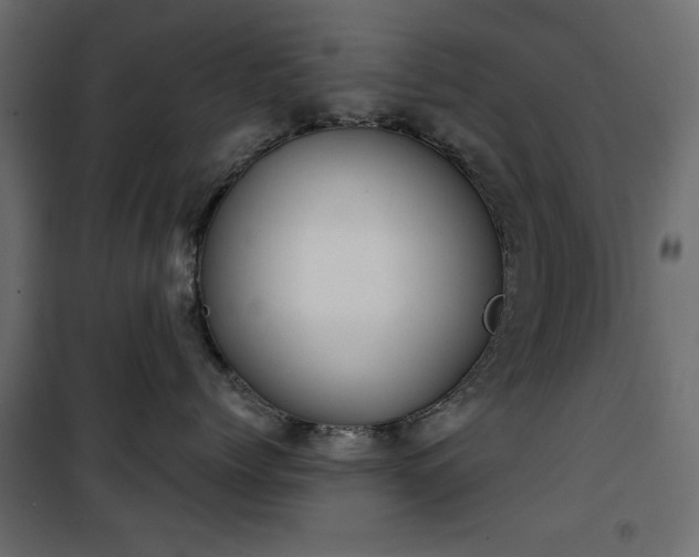 X0000101430768200807141241