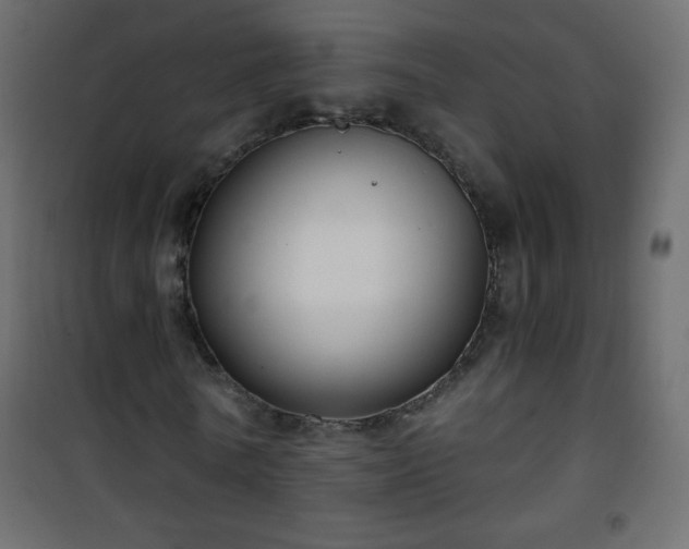 X0000101430770200807141241