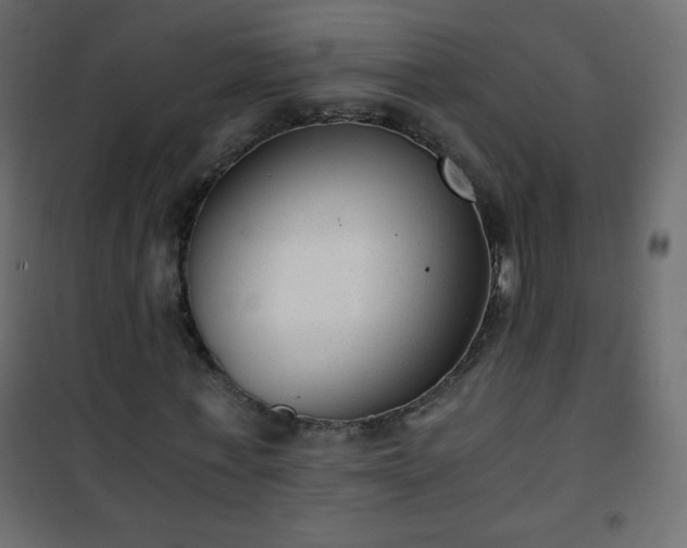X0000101430771200807141241