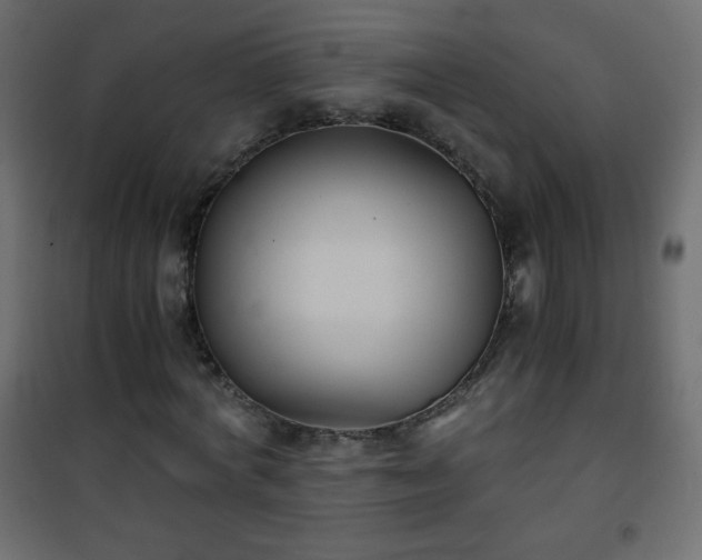 X0000101430772200807141241