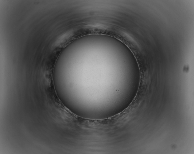 X0000101430774200807141241