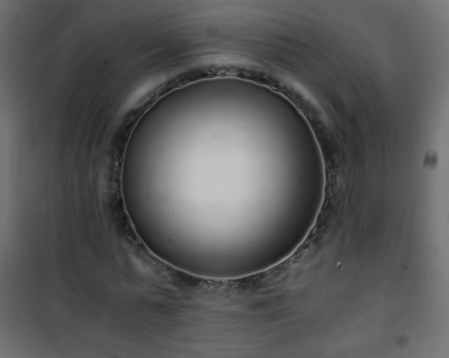 X0000101430775200807141240