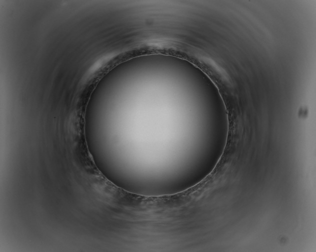 X0000101430776200807141240