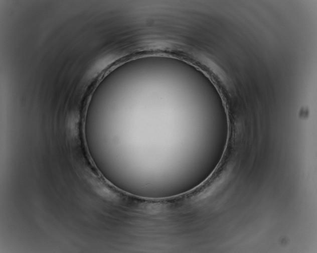 X0000101430778200807141240