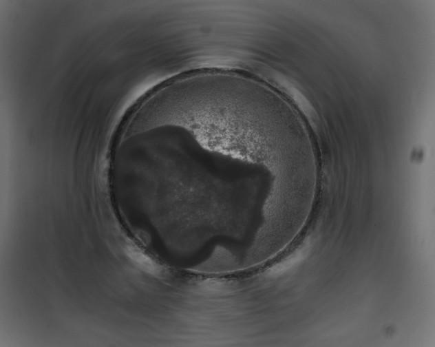 X0000101430779200807141240