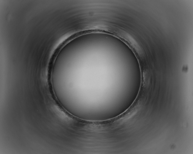 X0000101430780200807141240