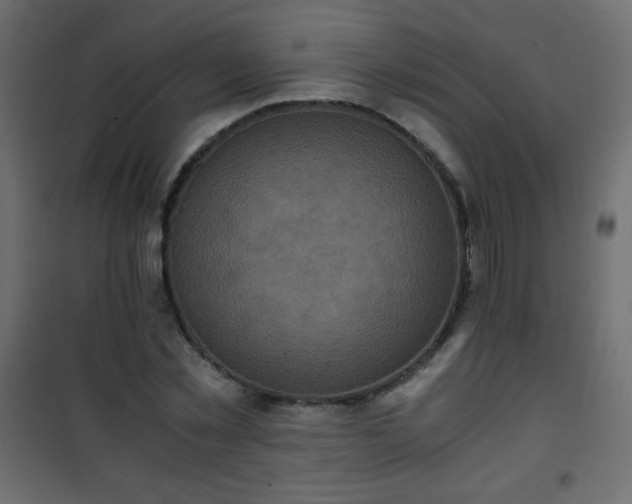 X0000101430781200807141240