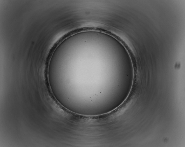 X0000101430783200807141240