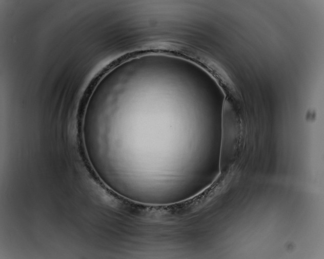 X0000101430784200807141240