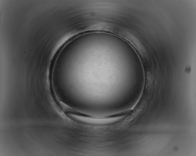 X0000101430788200807141240