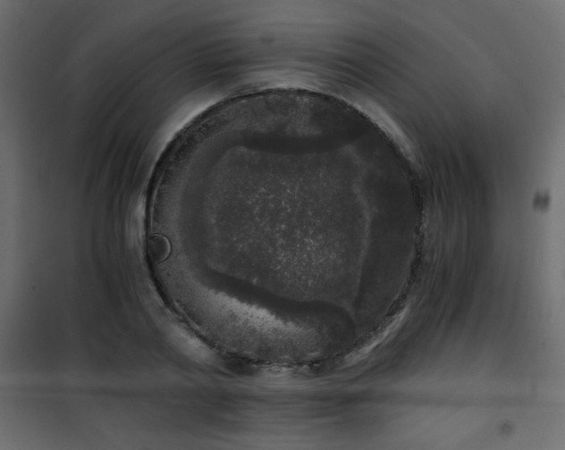 X0000101430790200807141240