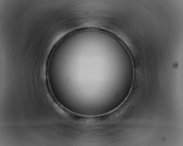 X0000101430791200807141240