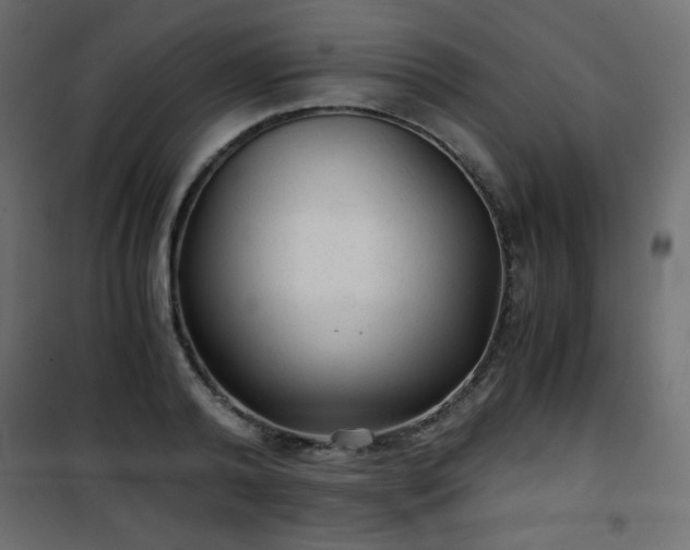 X0000101430792200807141240