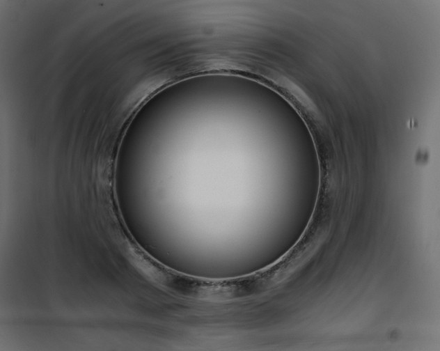 X0000101430793200807141240