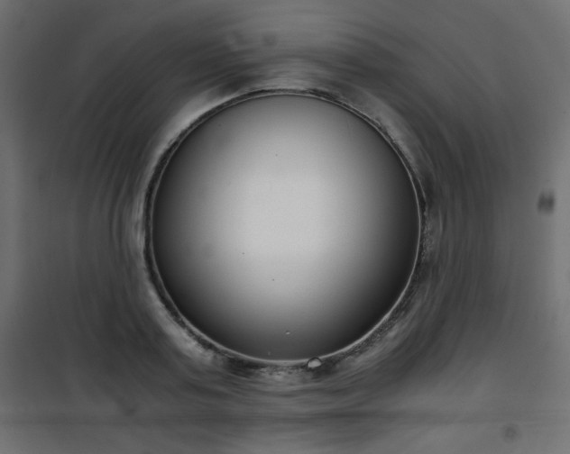 X0000101430795200807141240