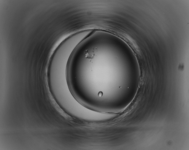 X0000101430796200807141240