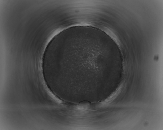 X0000101430797200807141240
