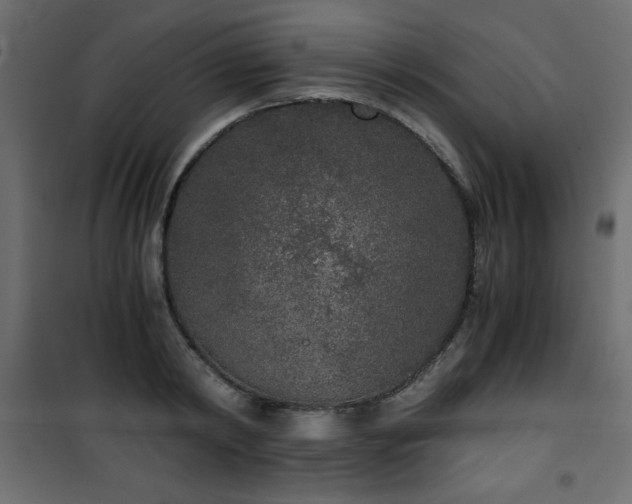 X0000101430798200807141240