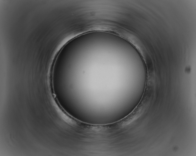 X0000101430803200807141240