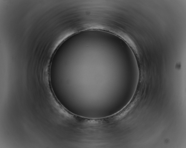 X0000101430806200807141240