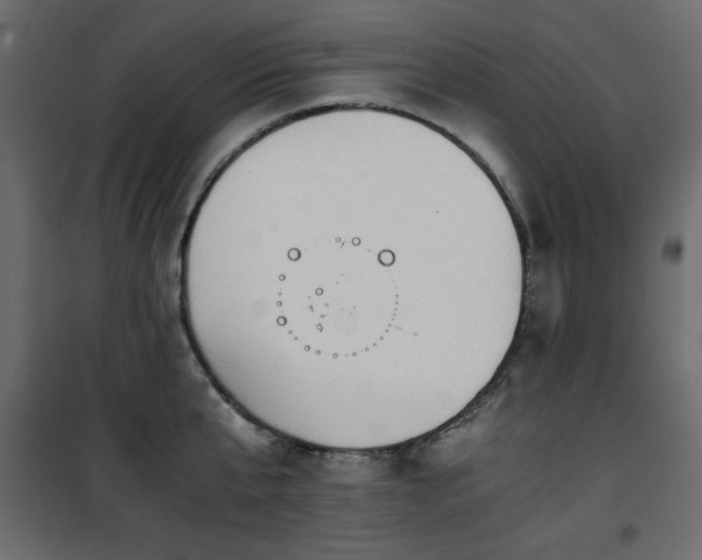 X0000101430807200807141240
