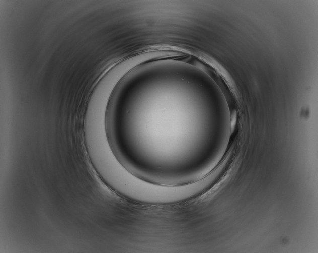 X0000101430809200807141240