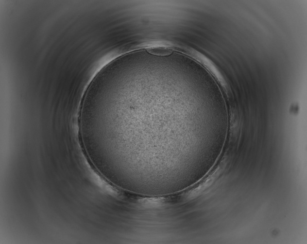 X0000101430810200807141240